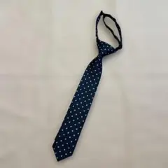 Item thumbnail for item b0d6d3c0-5b93-4b1f-888f-fa089facd804