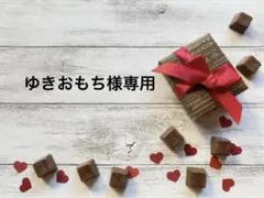 ゆきおもち様専用