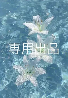 専用出品／依頼専用