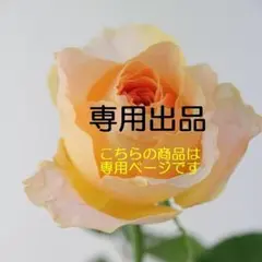 「ばっちゃん様」　花の種3点おまとめ用