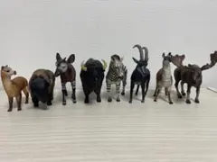 schleich シュライヒ / ブナの木と動物7体セット schleich シュライヒ / ブナの木と動物7体セット - メルカリ