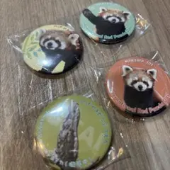 野毛山動物園　マグネットセット