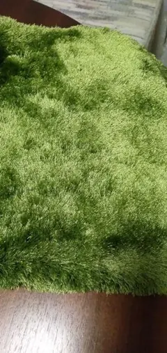 芝の様なデザインのクッションカバー