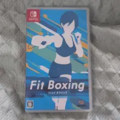 Fit Boxing