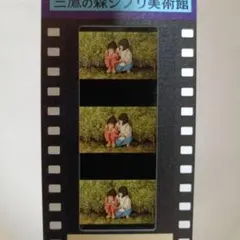 2025年最新】千と千尋の神隠しフィルムチケットの人気アイテム