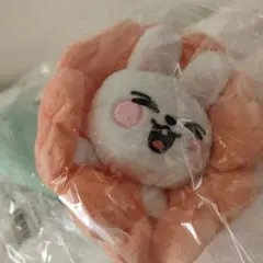 2025年最新】skzooブランケットの人気アイテム - メルカリ