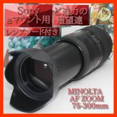 MINOLTA AF100-300 mm ソニー aマウント用 - メルカリ