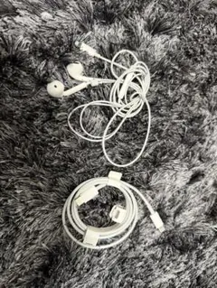 Lightningコネクタイヤフォン、AppleLightningケーブル 2点