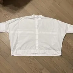 Item thumbnail for item 0d33f8ea-c77a-494f-8382-d7549d6e2a17