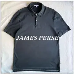 USA JAMES PERSE garment dye polo shirt