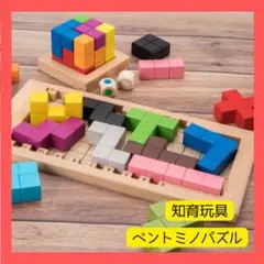 木製 ペントミノ 立体パズル 知育玩具 脳トレ 幼児 子供 モンテッソーリ 教材