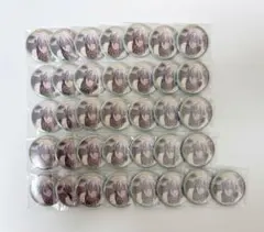 アイナナ記念日2022 缶バッジ 四葉環 36個