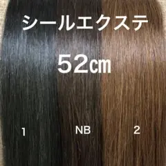 シールエクステ 52 カラーエクステのサムネイル