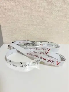 ACEes 2026 ACEes銀テ　エーシーズ　アリーナツアー　2026