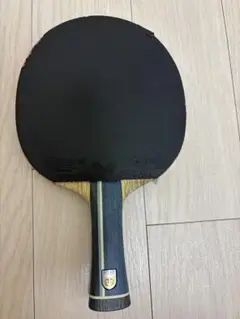張本智和インナーフォース ALC
