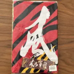 湘南乃風 タオル まとめ売り グッズ ブランケット 風乃軍団 湘南乃風 タオル まとめ売り グッズ ブランケット 風乃軍団 - メルカリ