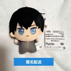 ハイキュー サンリオ ちびぐるみ 灰羽リエーフ 山口忠 黒尾鉄朗 影山飛雄 ハイキュー サンリオ ちびぐるみ 灰羽リエーフ 山口忠 黒尾鉄朗