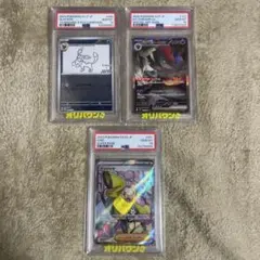 グレイシア、Nのゾロアーク、ナンジャモpsa10 まとめ売り