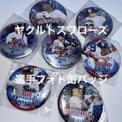 2026年最新】高橋奎二の人気アイテム - メルカリ