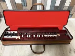 2025年最新】suzuki 大正琴の人気アイテム - メルカリ