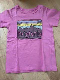 5T Patagonia パタゴニア　Tシャツ　キッズ　半袖