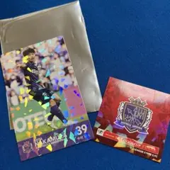 サンフレッチェ広島 記念グッズ