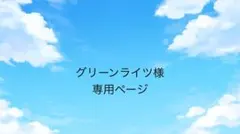 グリーンライツ様 リクエスト 2点 まとめ商品