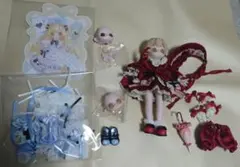 砕けた星の軌跡 kiseki グレイス ＋エリア衣装