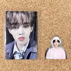 SEVENTEEN CARATLAND 2023 トレカ シール エスクプス