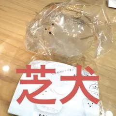 うちの子けだまだま 犬のけだまだま 柴犬