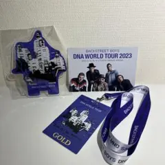 BSB ライブグッズ　DNA3点セット BSB ライブグッズ DNA3点セット BSB ライブグッズDNA3点セット