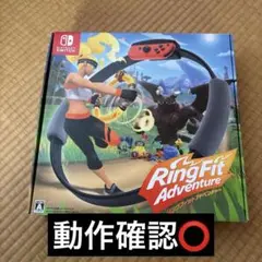 ✴︎11時間以内発送✴︎良品 リングフィットアドベンチャー リングコン