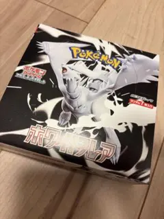 ホワイトフレア　1BOX分