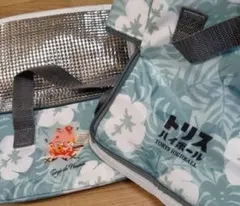 Item thumbnail for item 6c9eeaa7-8ac6-4e1f-b935-d66ee07897e9