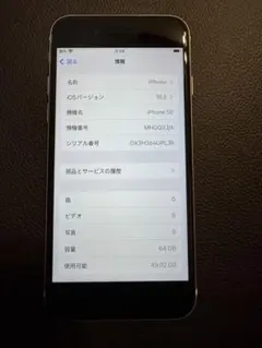 美品Apple iPhone SE 64GB