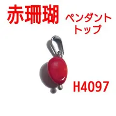 2026年最新】赤珊瑚 ネックレス トップの人気アイテム - メルカリ
