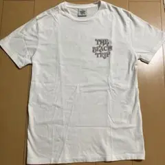 Item thumbnail for item 0aa5abf7-2ae7-482b-993e-ccd799077cf4