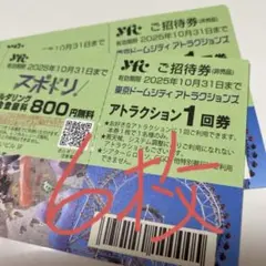 東京ドームシティ 優待券 2025年間プラン 2025年の夏をCOOLに遊びつくせ！「東京ドームシティSUMMER LINE
