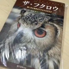 鷹狩りへの招待 波多野鷹「鷹を主人と思って仕えなさい」HAWKING筑摩書房 鷹狩りへの招待 波多野鷹「鷹を主人と思って仕えなさい」HAWKING