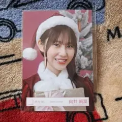 向井純葉 櫻坂46 生写真 2025年 サンタ衣装 サンタ ヨリ - メルカリ