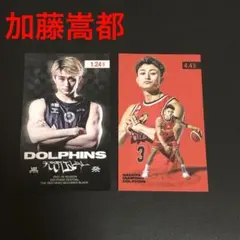 非売品 Bリーグ 名古屋ダイヤモンドドルフィンズ 加藤嵩都 サンクスカード 赤黒