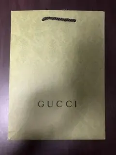 GUCCI 緑色ショップ袋（折り畳まずそのままの形で送ります。）のサムネイル