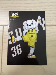 サンロッカーズ フォトカード サンディー 36のサムネイル