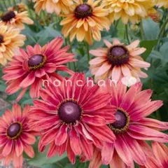 まっつん様 リクエスト 2点 まとめ商品