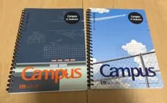 Item thumbnail for item 3631d741-e2ae-437b-93a9-e17bd47a69cc