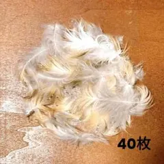 Item thumbnail for item 77e3954c-e8f8-4be3-a696-e94ef60b4619