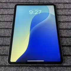 16【早い者勝ち】 iPad Pro 11 1世代 512GB スペースグレイ