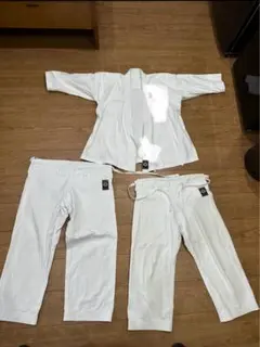 Item thumbnail for item fc3cdb93-4588-4d62-9adb-3d6a116b9512