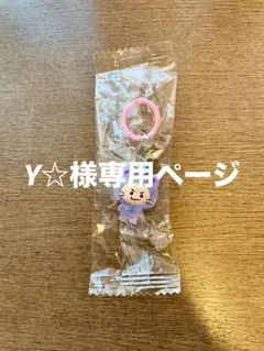 Y☆様専用ページ