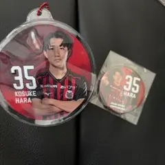 【即購入可】北海道コンサドーレ札幌 星型缶バッジ 5種セット